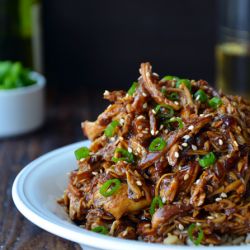 Honey Garlic Chicken - Slow Cooked